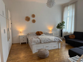 Stilvolles zentrales Apartment im schönsten Bezirk Wiens - free parking
